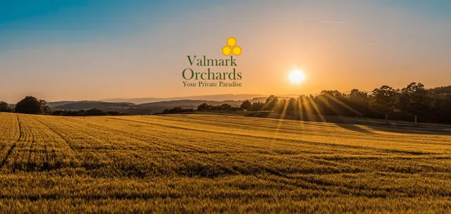 Valmark Orchards in Devanahalli